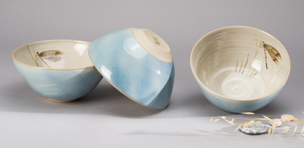 Collection libellules